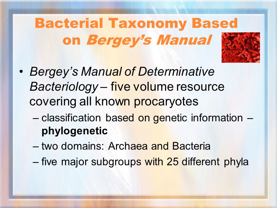Bergeys Manual Of Determinative Bacteriology 9th Edition